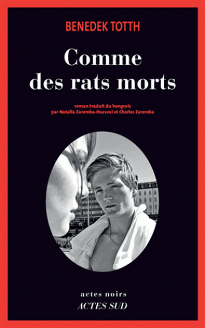 COMME DES RATS MORTS